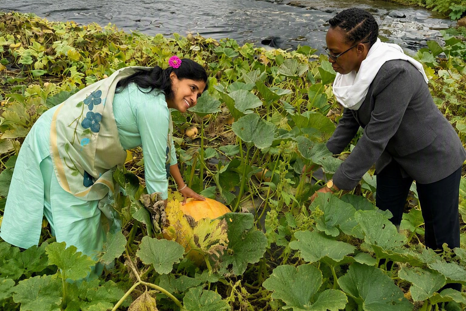 international visitors in a pumpkin patch